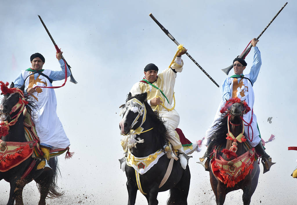 Lisa Abraham: The 2017 Salon du Cheval D'El Jadida: Tbourida!