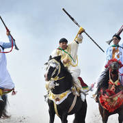 Lisa Abraham: The 2017 Salon du Cheval D'El Jadida: Tbourida!