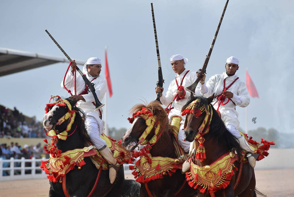 Lisa Abraham: The 2017 Salon du Cheval D'El Jadida: Tbourida!