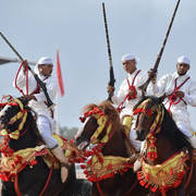 Lisa Abraham: The 2017 Salon du Cheval D'El Jadida: Tbourida!