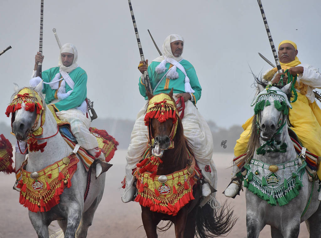 Lisa Abraham: The 2017 Salon du Cheval D'El Jadida: Tbourida!