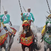 Lisa Abraham: The 2017 Salon du Cheval D'El Jadida: Tbourida!
