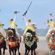 Lisa Abraham: The 2017 Salon du Cheval D'El Jadida: Tbourida!