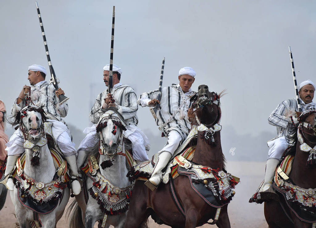 Lisa Abraham: The 2017 Salon du Cheval D'El Jadida: Tbourida!