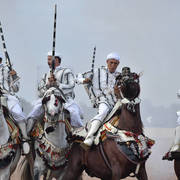 Lisa Abraham: The 2017 Salon du Cheval D'El Jadida: Tbourida!