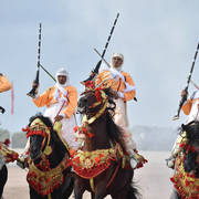 Lisa Abraham: The 2017 Salon du Cheval D'El Jadida: Tbourida!