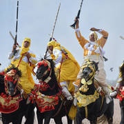 Lisa Abraham: The 2017 Salon du Cheval D'El Jadida: Tbourida!