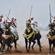 Lisa Abraham: The 2017 Salon du Cheval D'El Jadida: Tbourida!