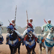 Lisa Abraham: The 2017 Salon du Cheval D'El Jadida: Tbourida!