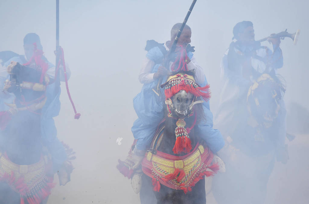 Lisa Abraham: The 2017 Salon du Cheval D'El Jadida: Tbourida!