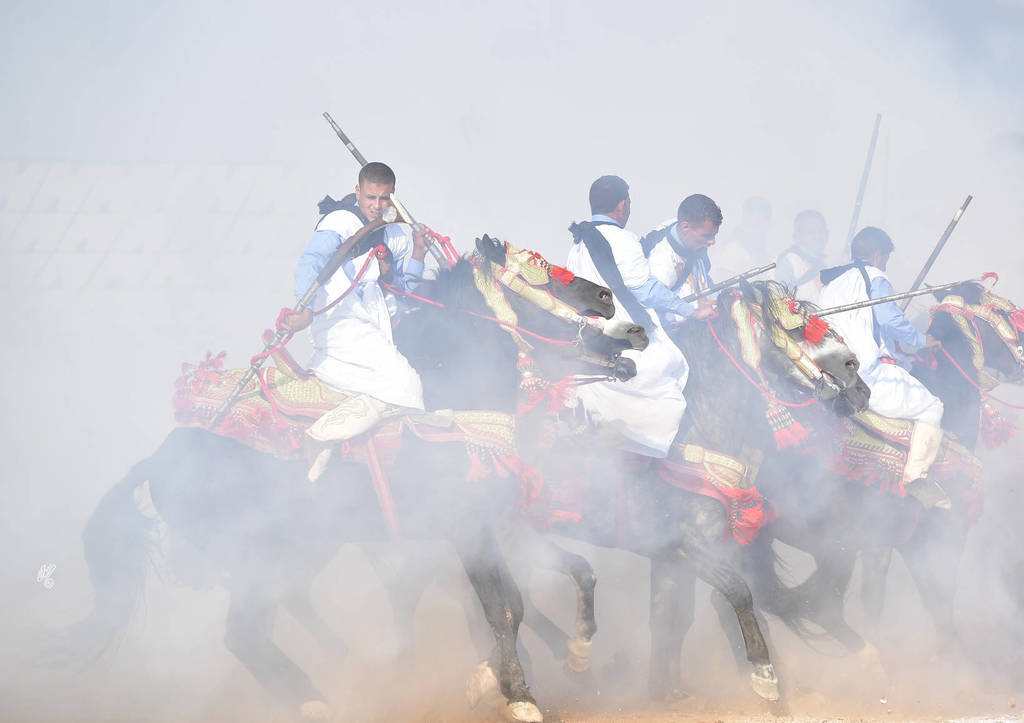 Lisa Abraham: The 2017 Salon du Cheval D'El Jadida: Tbourida!