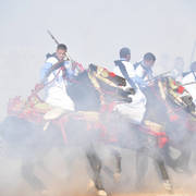 Lisa Abraham: The 2017 Salon du Cheval D'El Jadida: Tbourida!