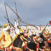 Lisa Abraham: The 2017 Salon du Cheval D'El Jadida: Tbourida!