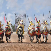 Lisa Abraham: The 2017 Salon du Cheval D'El Jadida: Tbourida!