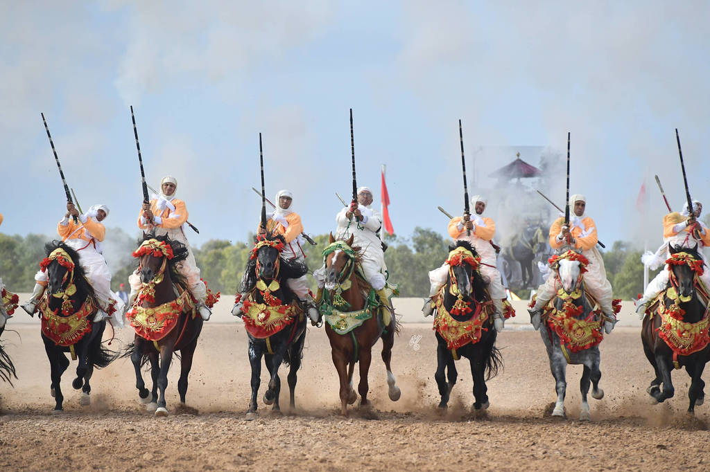 Lisa Abraham: The 2017 Salon du Cheval D'El Jadida: Tbourida!