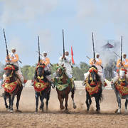Lisa Abraham: The 2017 Salon du Cheval D'El Jadida: Tbourida!