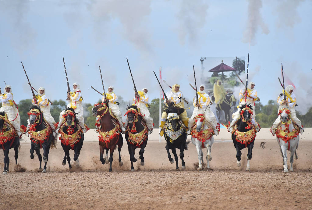 Lisa Abraham: The 2017 Salon du Cheval D'El Jadida: Tbourida!