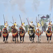 Lisa Abraham: The 2017 Salon du Cheval D'El Jadida: Tbourida!