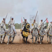 Lisa Abraham: The 2017 Salon du Cheval D'El Jadida: Tbourida!