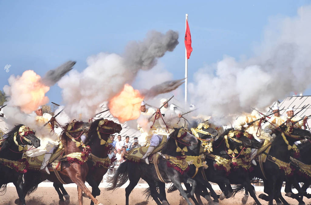 Lisa Abraham: The 2017 Salon du Cheval D'El Jadida: Tbourida!