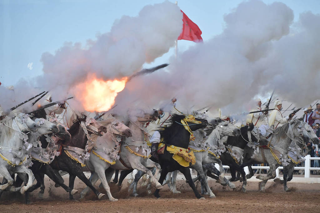 Lisa Abraham: The 2017 Salon du Cheval D'El Jadida: Tbourida!