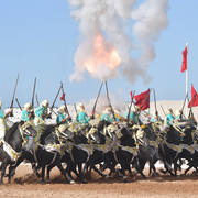 Lisa Abraham: The 2017 Salon du Cheval D'El Jadida: Tbourida!