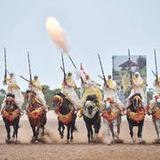 Lisa Abraham: The 2017 Salon du Cheval D'El Jadida: Tbourida!