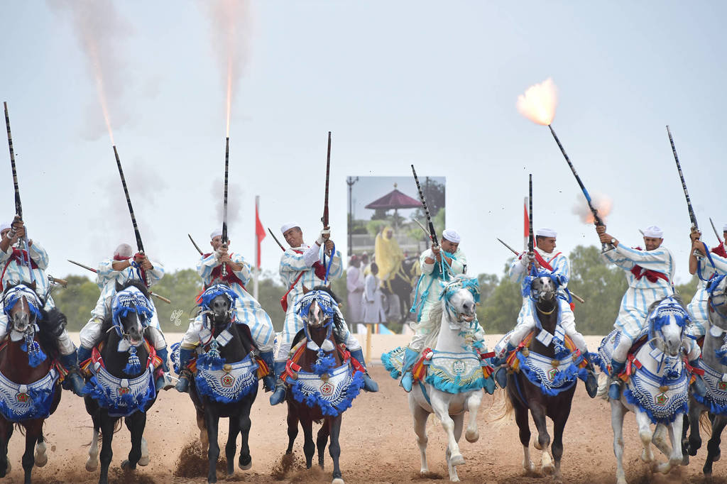 Lisa Abraham: The 2017 Salon du Cheval D'El Jadida: Tbourida!