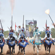 Lisa Abraham: The 2017 Salon du Cheval D'El Jadida: Tbourida!