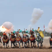 Lisa Abraham: The 2017 Salon du Cheval D'El Jadida: Tbourida!