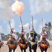 Lisa Abraham: The 2017 Salon du Cheval D'El Jadida: Tbourida!
