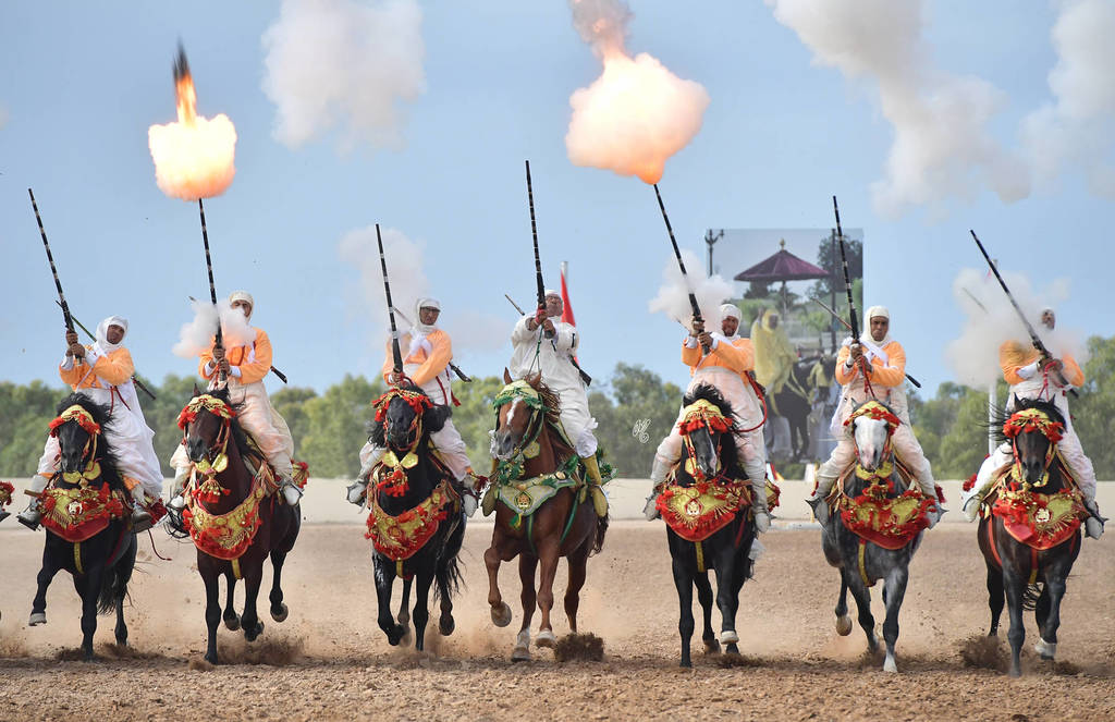 Lisa Abraham: The 2017 Salon du Cheval D'El Jadida: Tbourida!