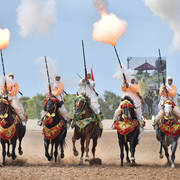 Lisa Abraham: The 2017 Salon du Cheval D'El Jadida: Tbourida!