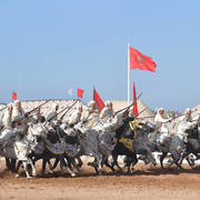 Lisa Abraham: The 2017 Salon du Cheval D'El Jadida: Tbourida!