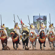 Lisa Abraham: The 2017 Salon du Cheval D'El Jadida: Tbourida!