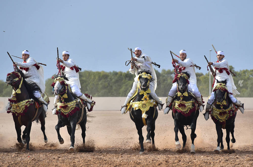 Lisa Abraham: The 2017 Salon du Cheval D'El Jadida: Tbourida!
