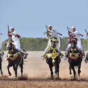 Lisa Abraham: The 2017 Salon du Cheval D'El Jadida: Tbourida!