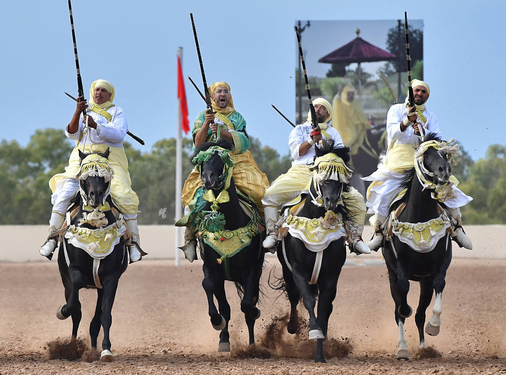 Lisa Abraham: The 2017 Salon du Cheval D'El Jadida: Tbourida!