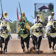 Lisa Abraham: The 2017 Salon du Cheval D'El Jadida: Tbourida!