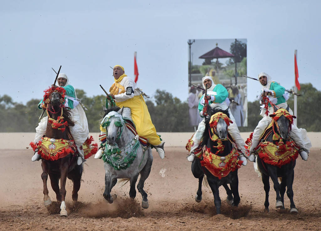 Lisa Abraham: The 2017 Salon du Cheval D'El Jadida: Tbourida!