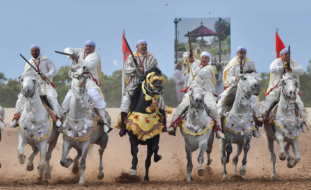 Lisa Abraham: The 2017 Salon du Cheval D'El Jadida: Tbourida!