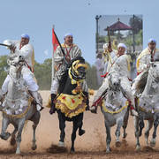 Lisa Abraham: The 2017 Salon du Cheval D'El Jadida: Tbourida!