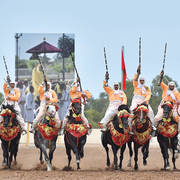 Lisa Abraham: The 2017 Salon du Cheval D'El Jadida: Tbourida!