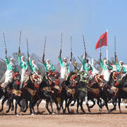 Lisa Abraham: The 2017 Salon du Cheval D'El Jadida: Tbourida!