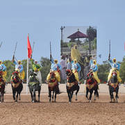 Lisa Abraham: The 2017 Salon du Cheval D'El Jadida: Tbourida!