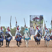 Lisa Abraham: The 2017 Salon du Cheval D'El Jadida: Tbourida!