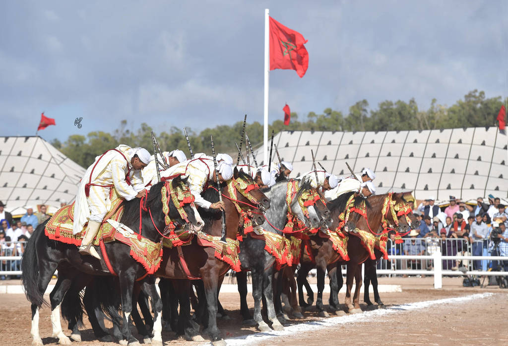 Lisa Abraham: The 2017 Salon du Cheval D'El Jadida: Tbourida!