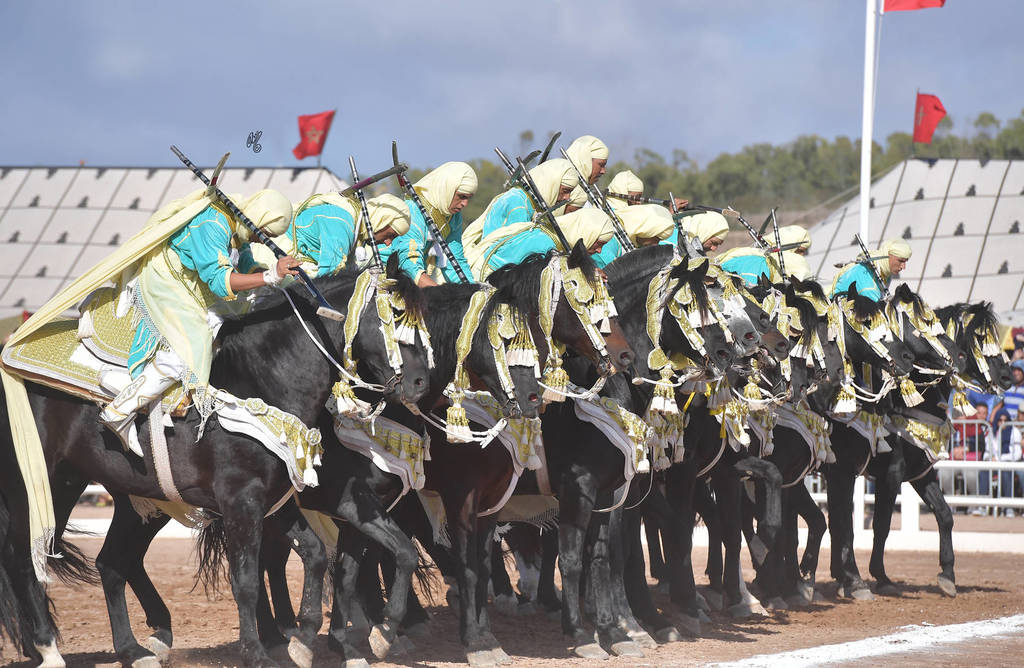 Lisa Abraham: The 2017 Salon du Cheval D'El Jadida: Tbourida!