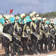 Lisa Abraham: The 2017 Salon du Cheval D'El Jadida: Tbourida!