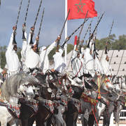 Lisa Abraham: The 2017 Salon du Cheval D'El Jadida: Tbourida!